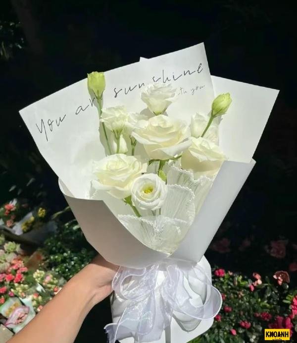 anh hoa hong trang net