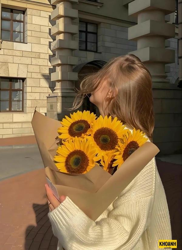 anh hoa huong duong net