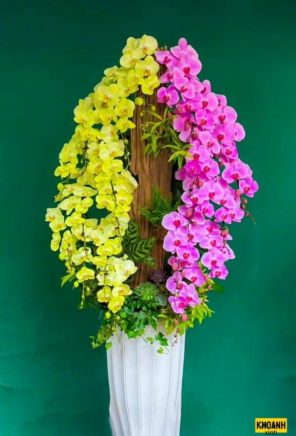 anh hoa lan sang trong