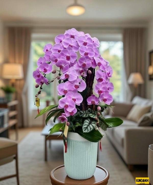 ảnh hoa lan sang trọng