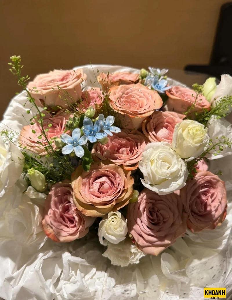 bó hoa hồng campuchino
