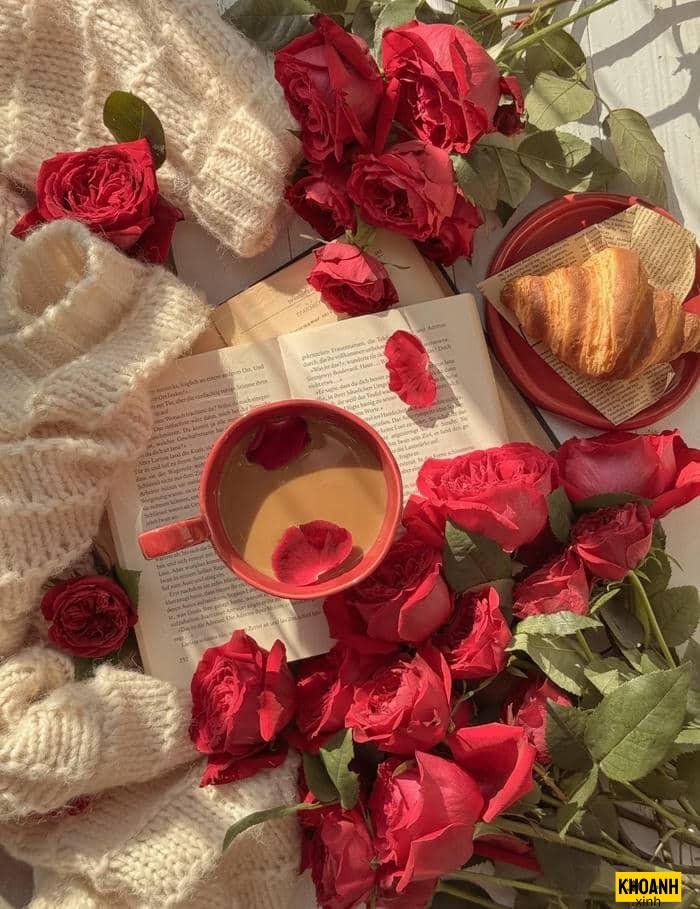 bó hoa hồng đỏ đẹp
