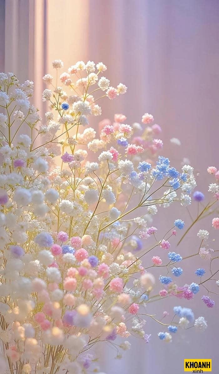 các loại hoa khoe sắc