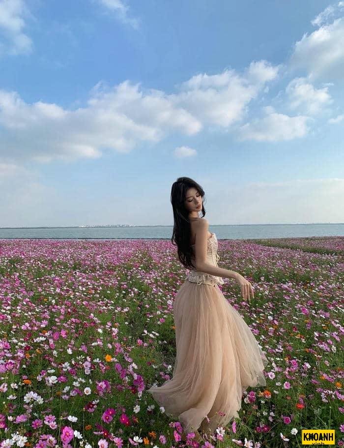 cánh đồng hoa thiên nhiên