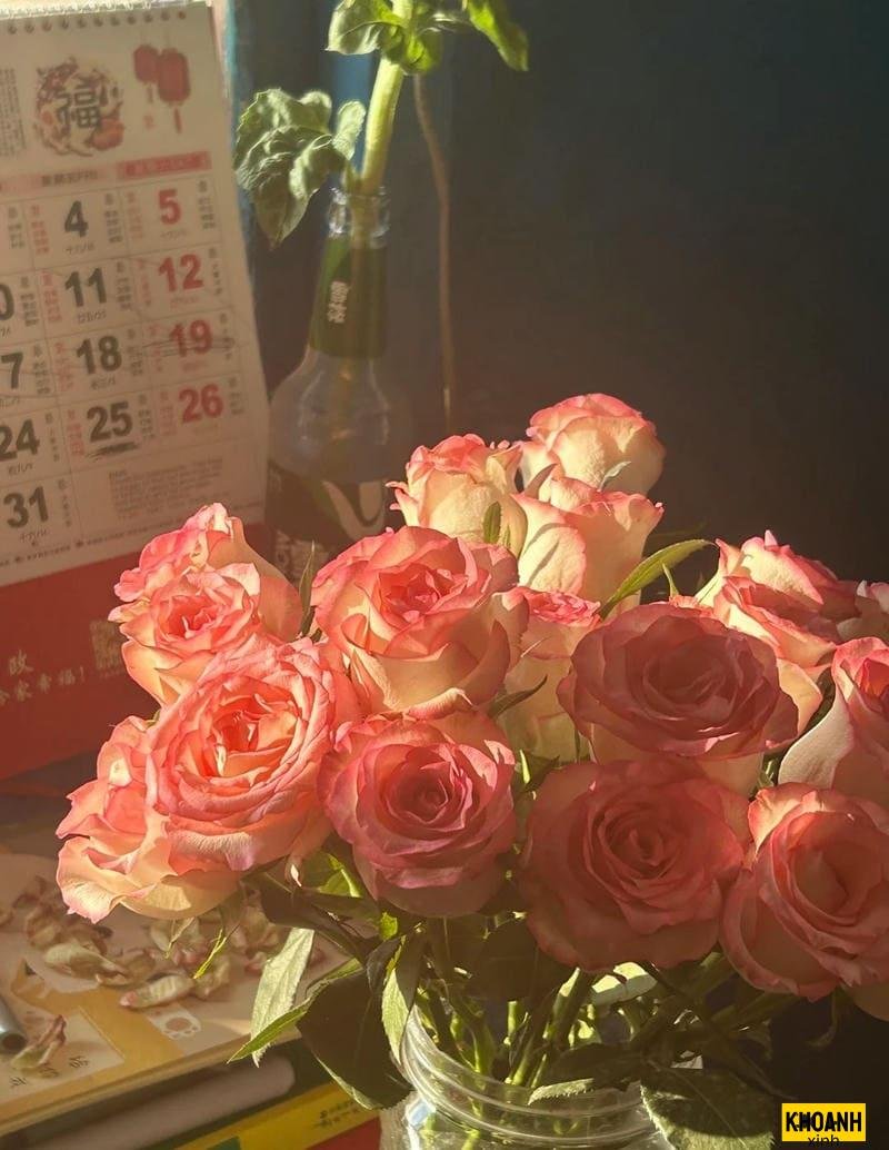 canh hoa hong mong manh