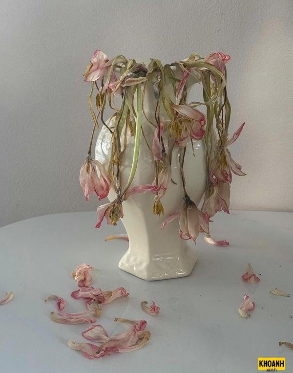 cánh hoa rơi sầu muộn