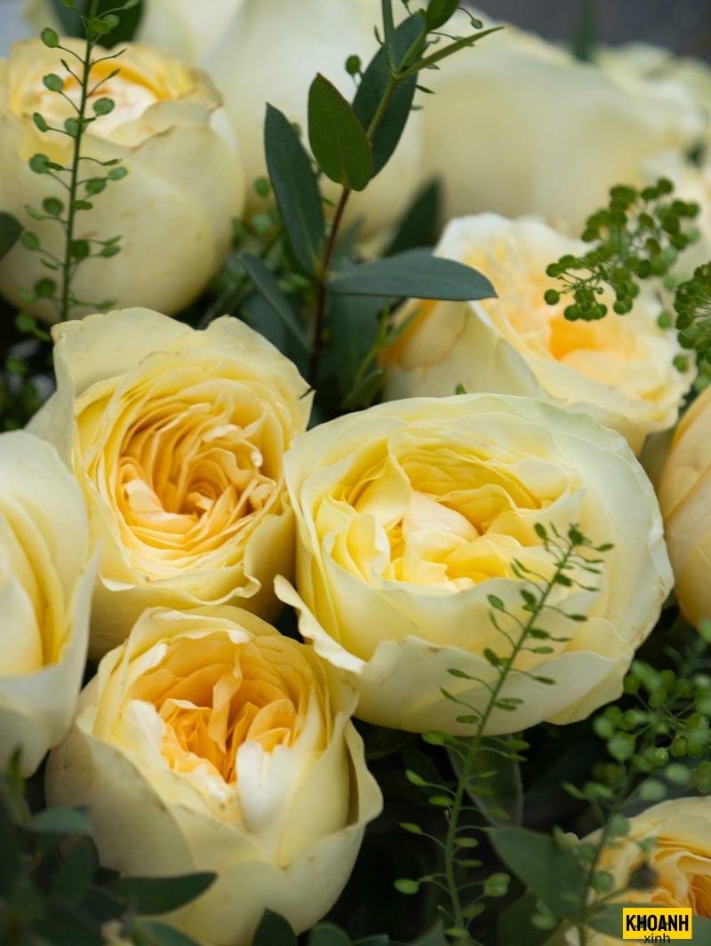 đóa hoa dại đọng sương