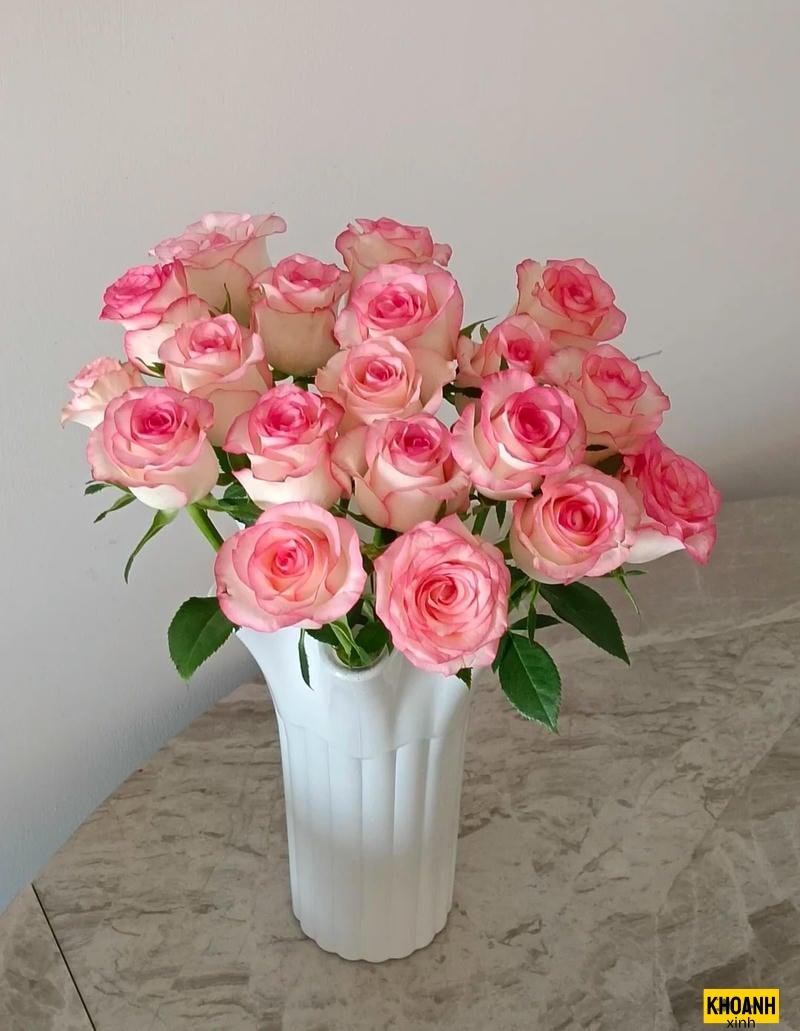 đóa hoa hồng đại đóa