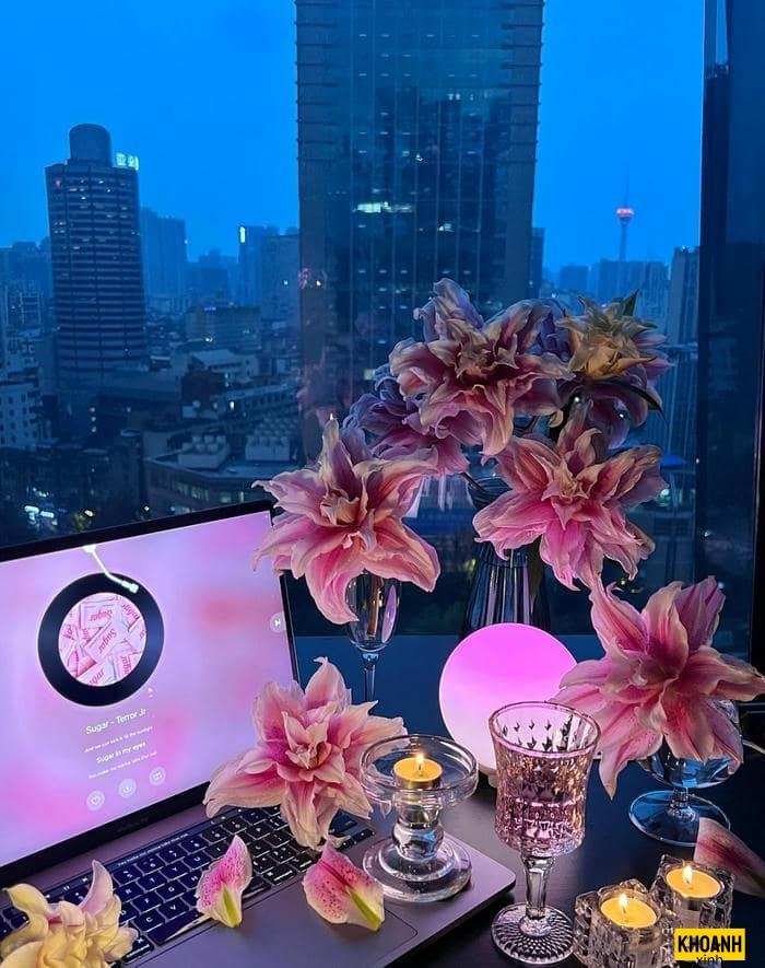 doa hoa ly thanh khiet