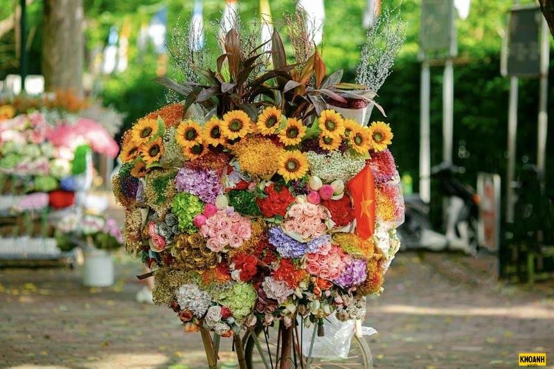 đóa hoa mùa thu hd