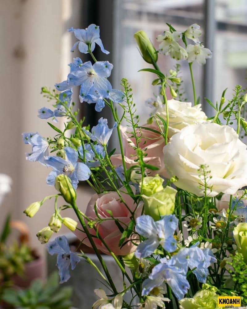 đóa hoa rừng tinh khôi