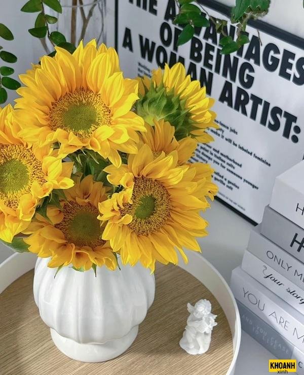 đóa hướng dương nở rộ