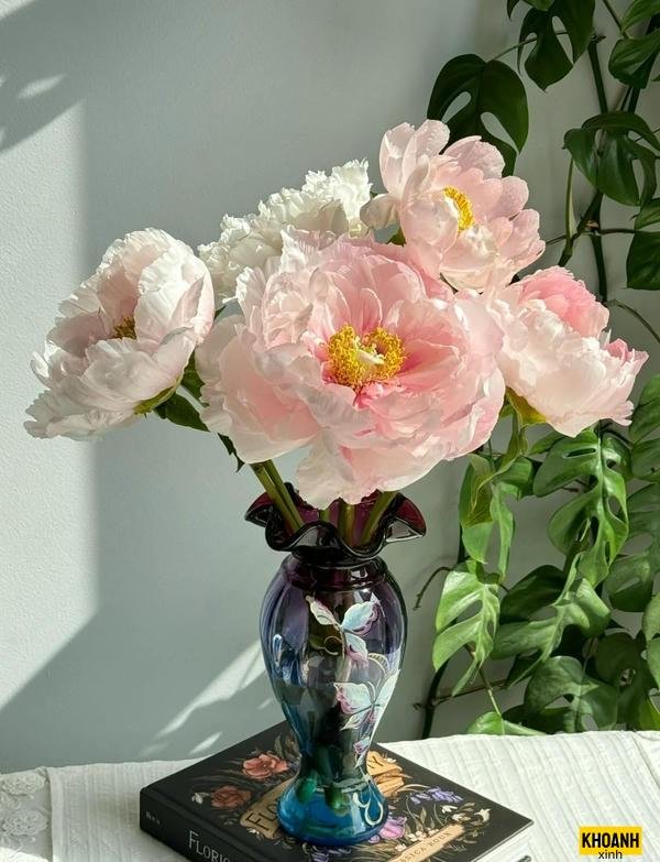 doa mau don dong suong