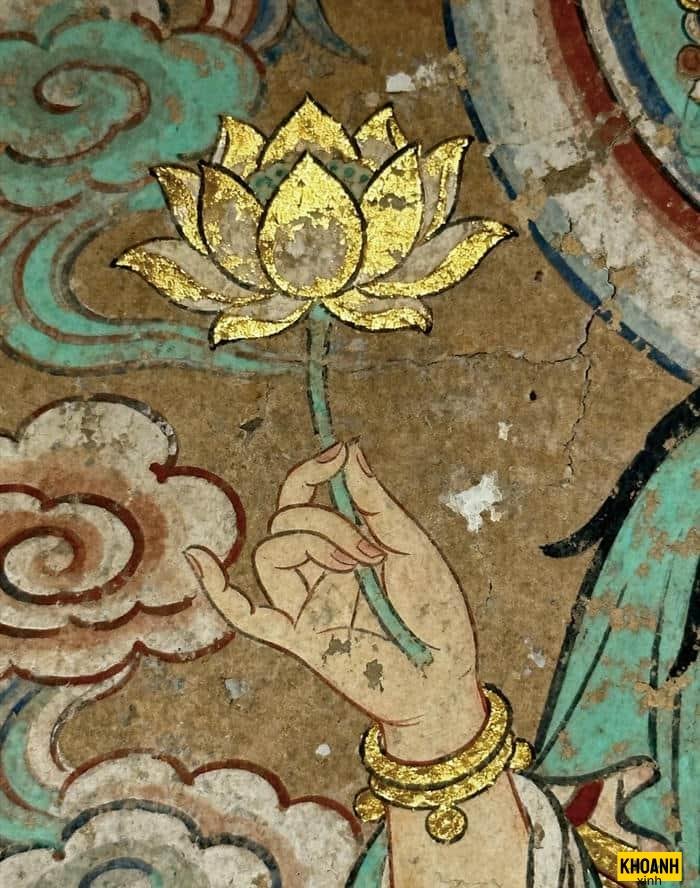 đóa sen hồng thanh thoát