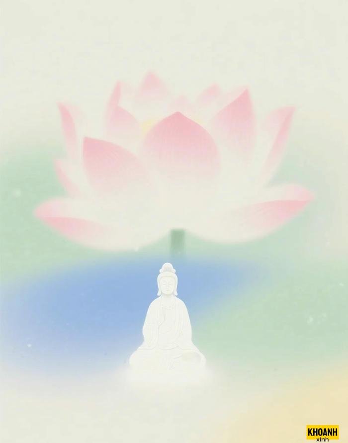 doa sen hong thanh tinh