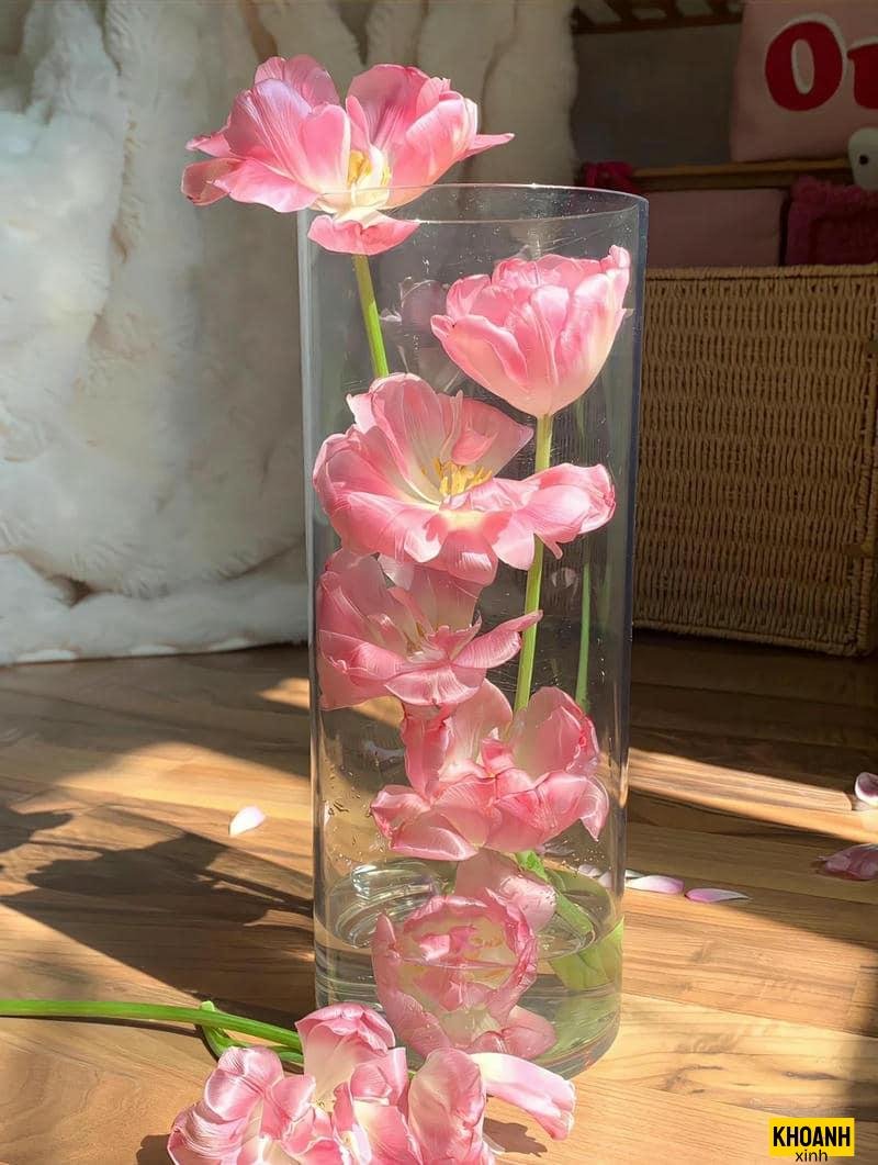 đóa tulip hồng ngọt ngào