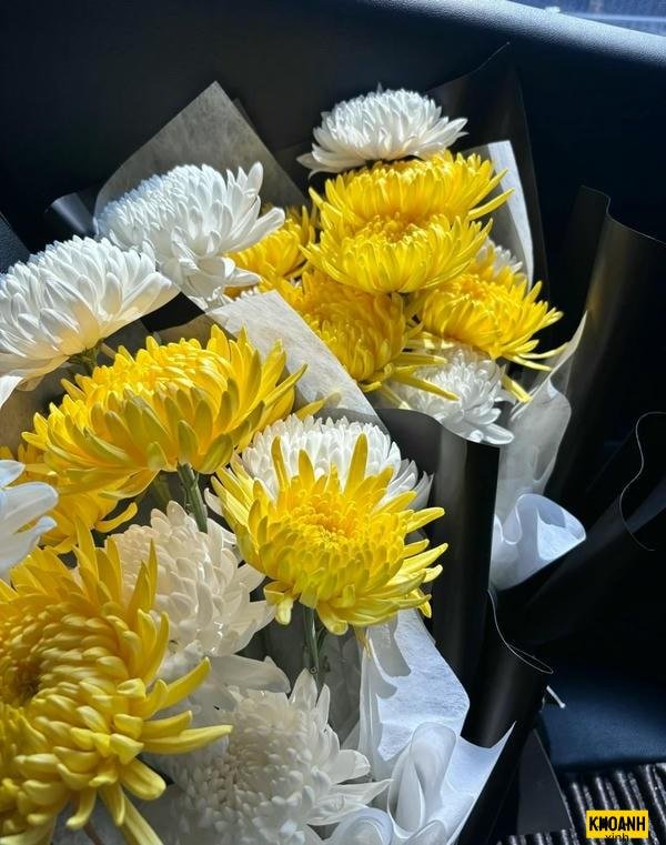 hinh nen hoa cuc net