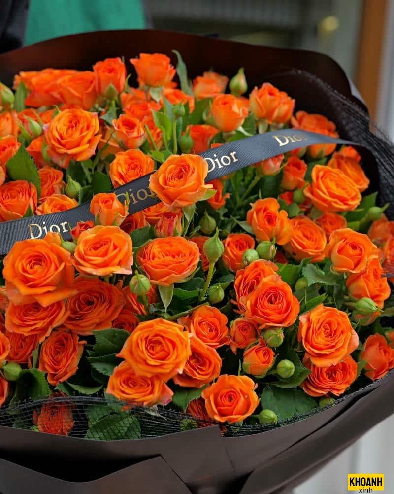 hoa dai nghe thuat hd