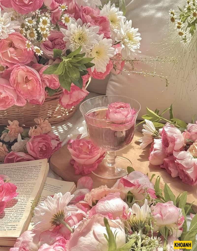 hoa hồng đẹp lung linh