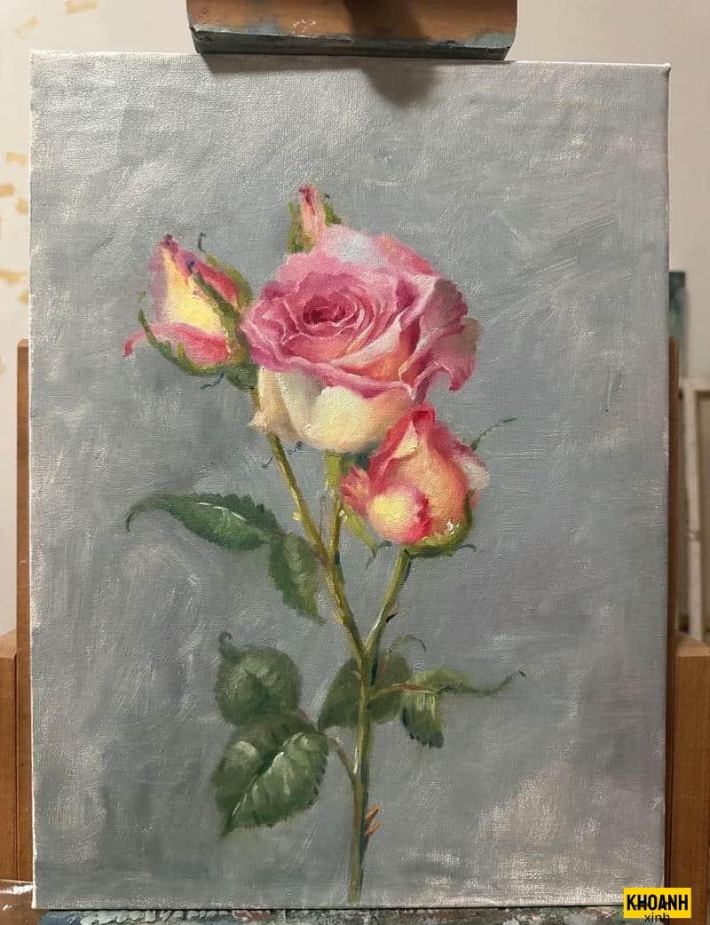 hoa hong phan nhe nhang