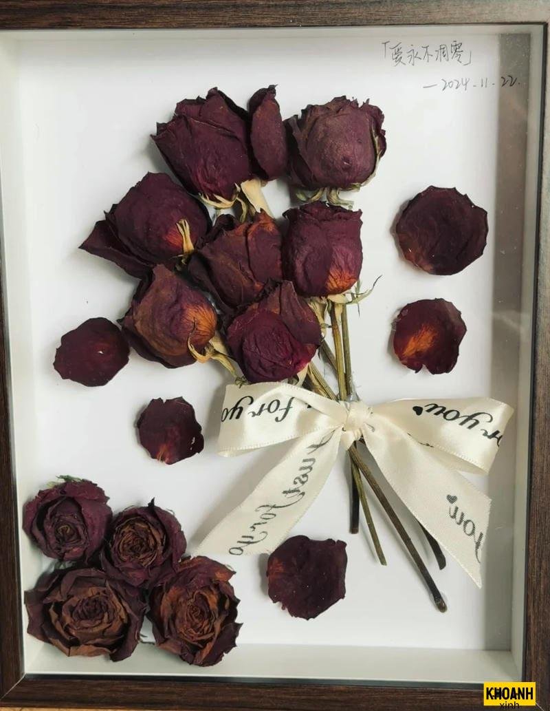 hoa hong thom ngat hd