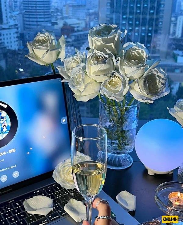 hoa hồng trắng cầm tay