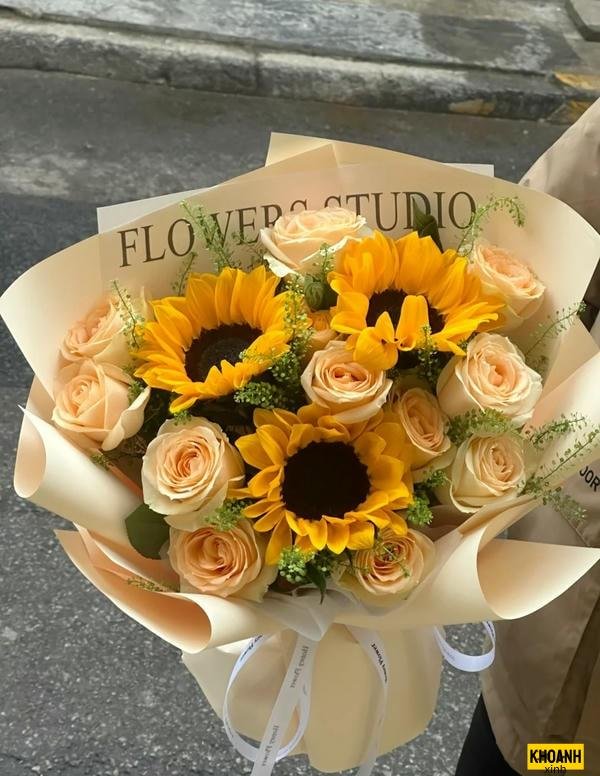 hoa huong duong mat troi