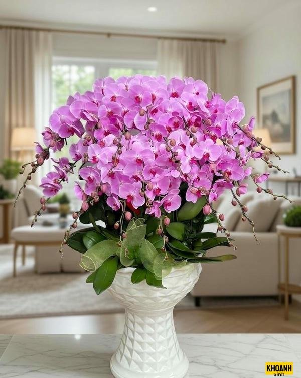 hoa lan rừng tự nhiên