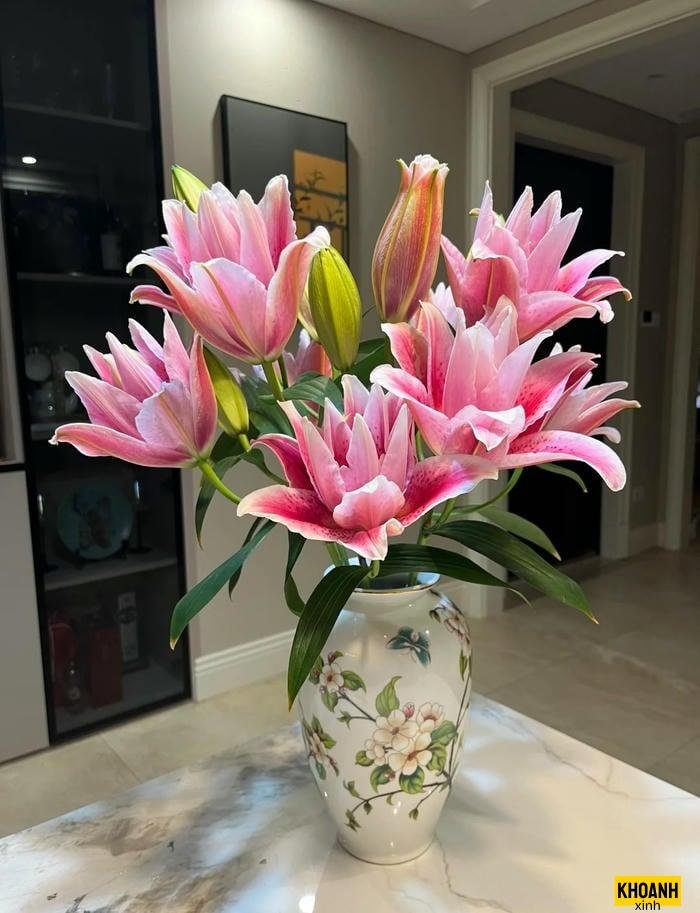 hoa ly hồng thơm ngát