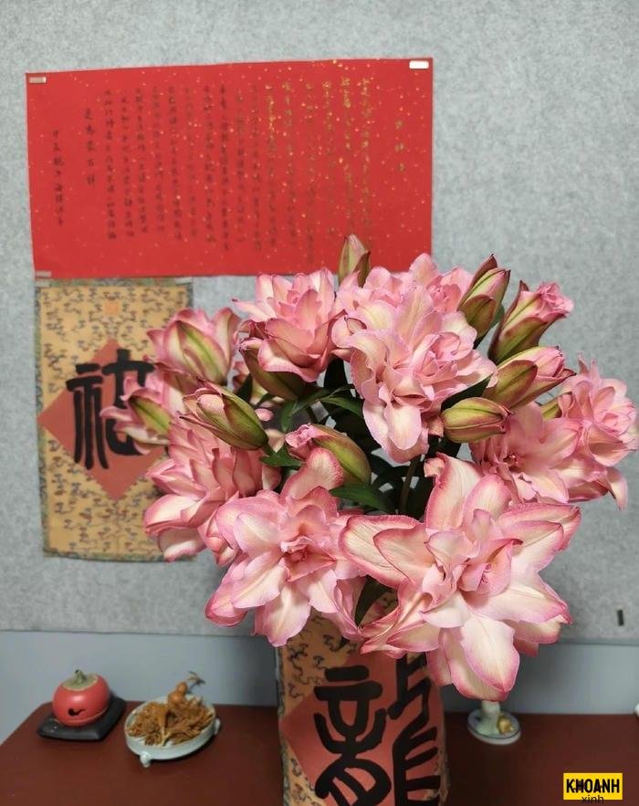 hoa ly kép cực đẹp