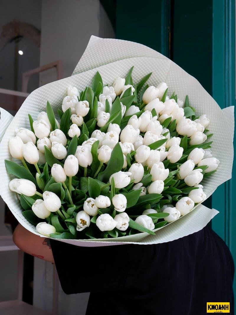 hoa mung sinh nhat hd