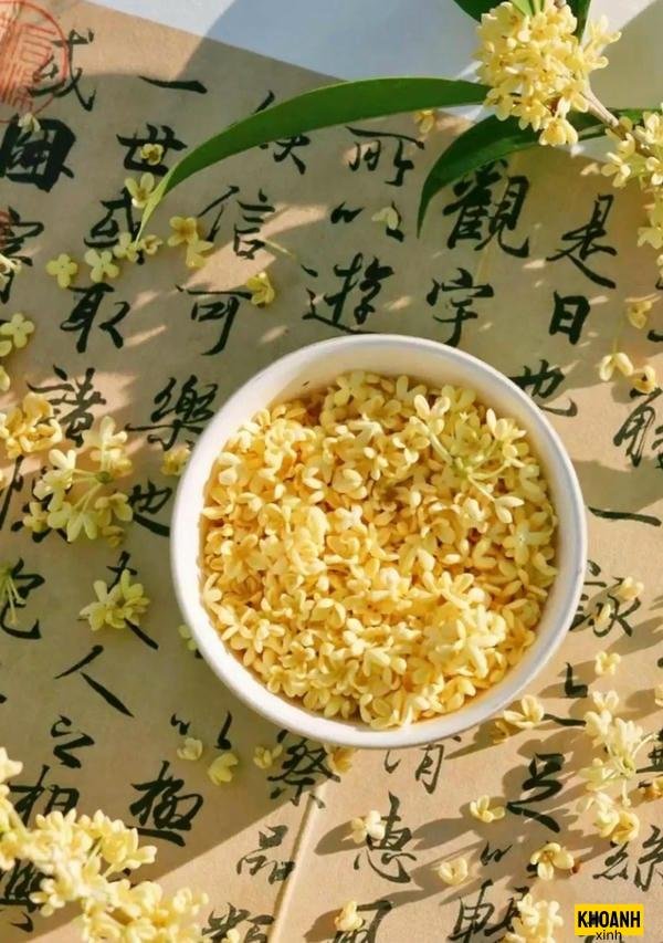 hoa nguyet que thom ngat