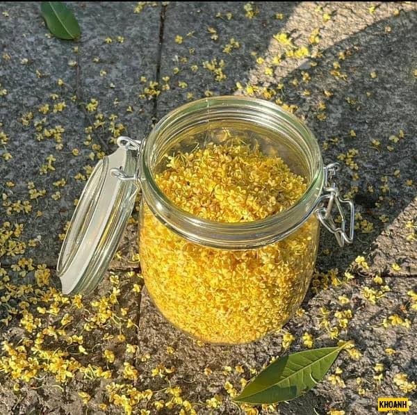 hoa nguyet que trong nang