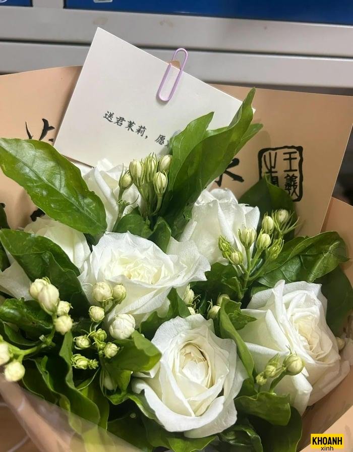 hoa nhài thanh khiết hd