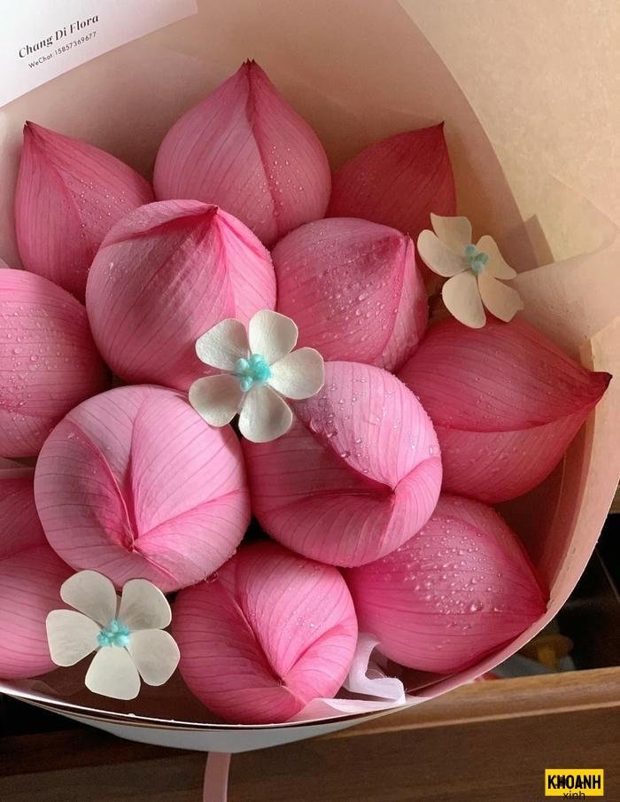 hoa sen hồng nghệ thuật