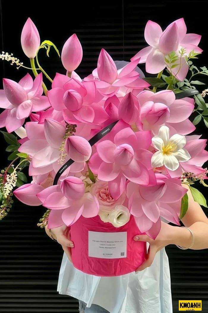 hoa sen hồng nở rộ