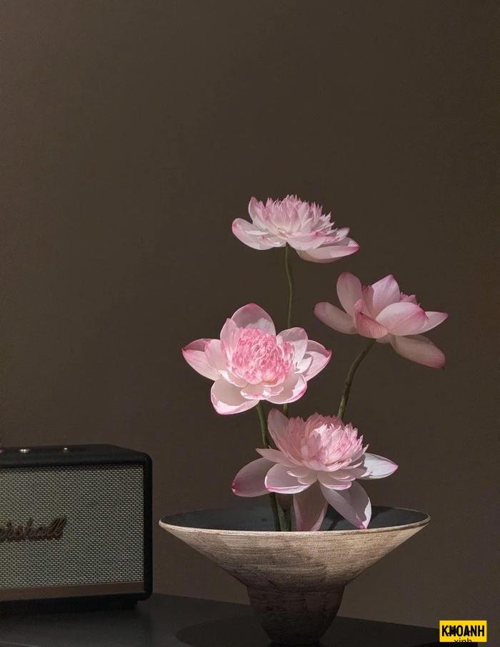 hoa sen no trong dam