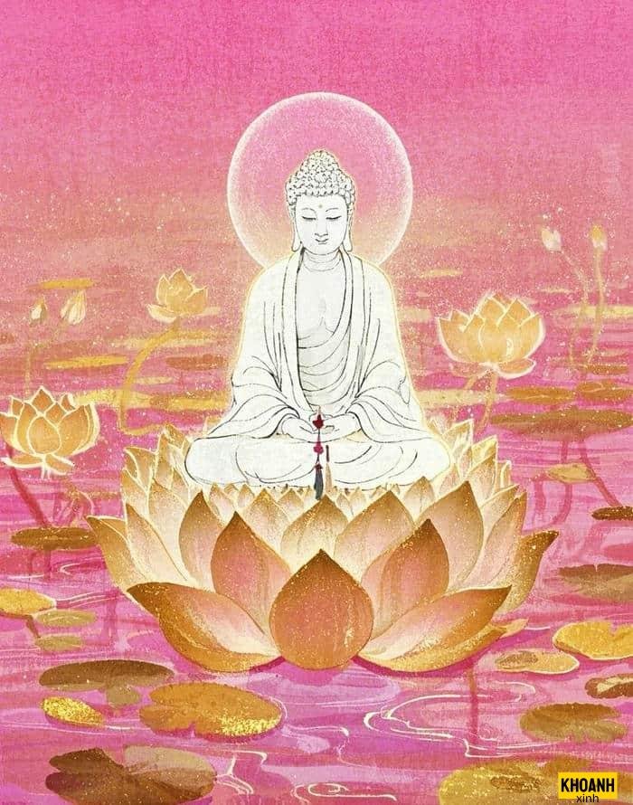 hoa sen tâm hồn tịnh