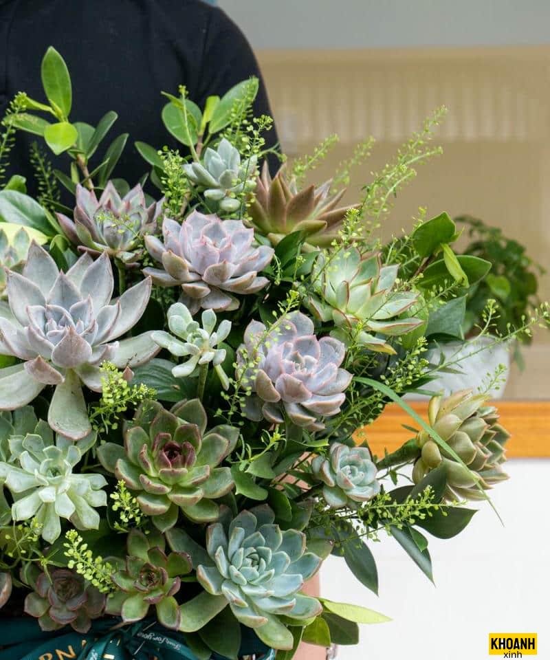 hoa tự nhiên nở rộ