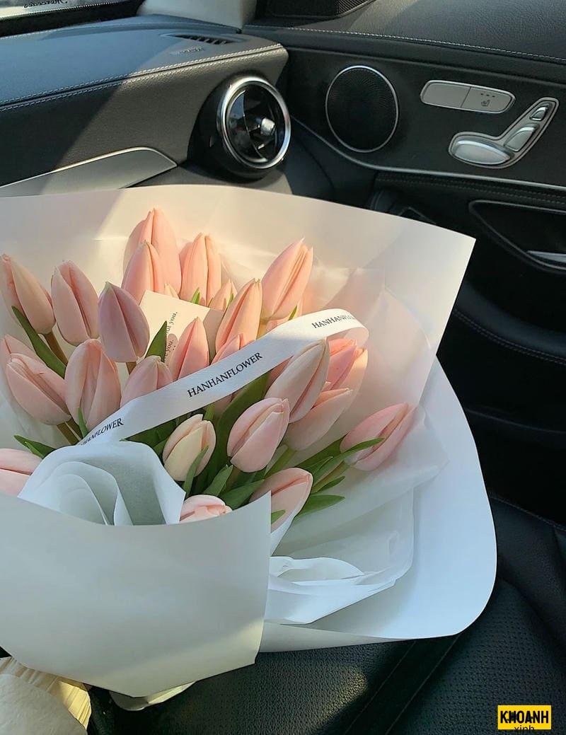 hoa tulip cam rang ro