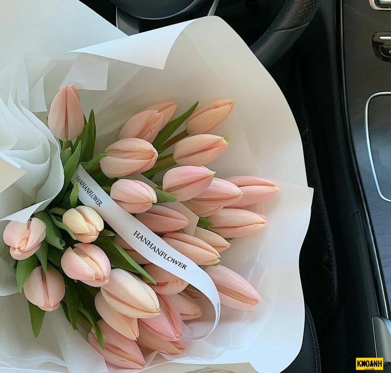 hoa tulip nghe thuat hd