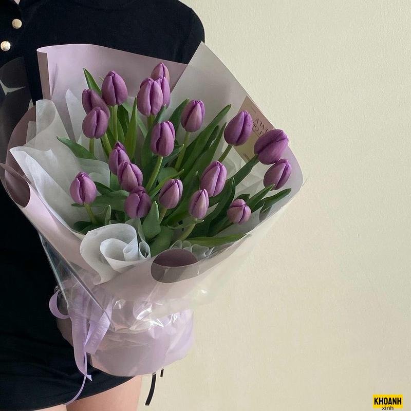 hoa tulip tím mộng mơ