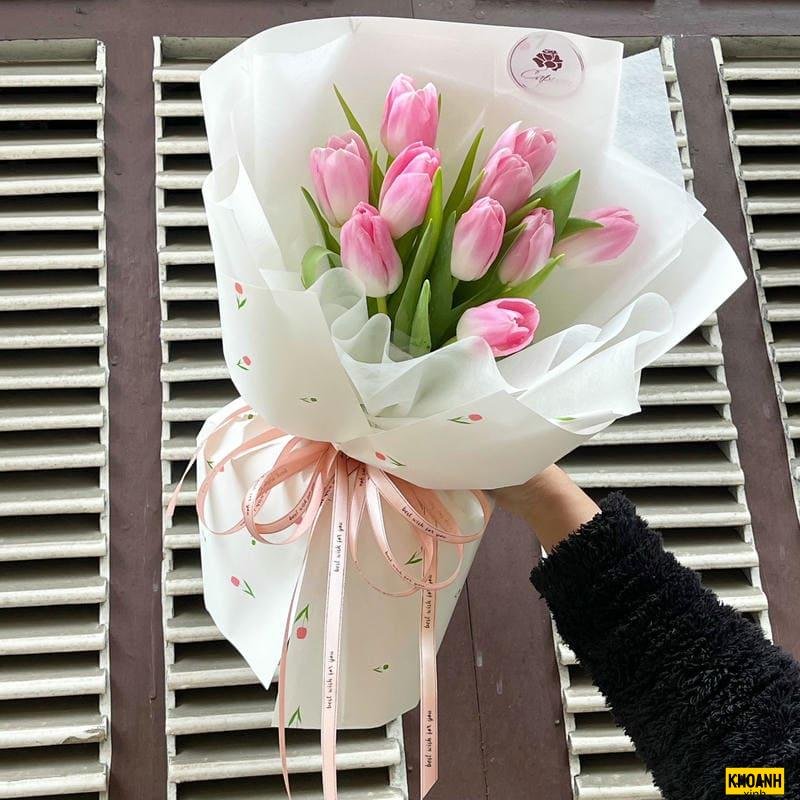 hoa tulip tươi thắm hd