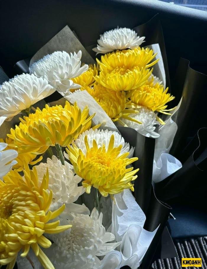 ke hoa tang trang hd