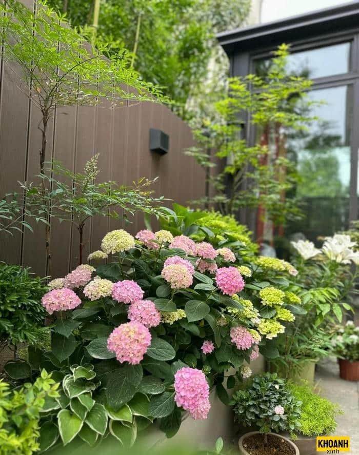 khu vuon day suc song