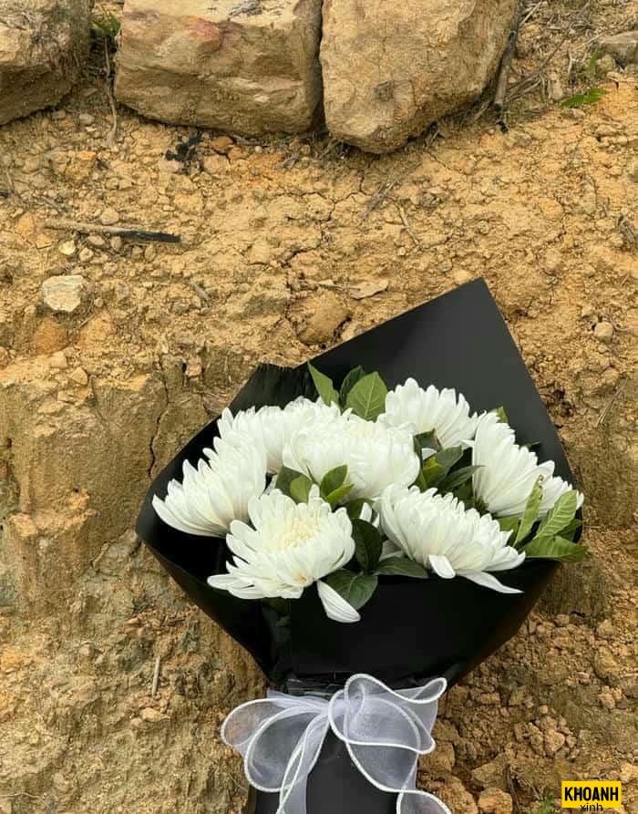 mẫu hoa chia buồn hd