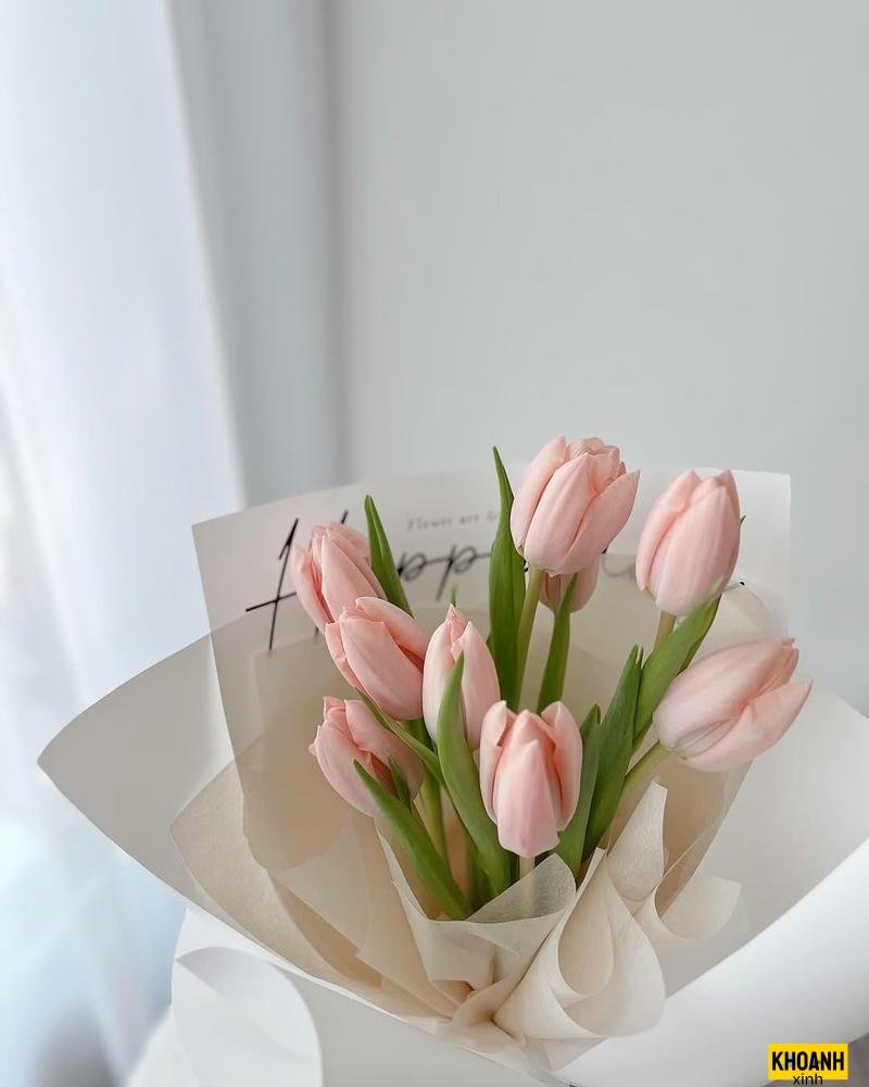 mau hoa tulip 4k net