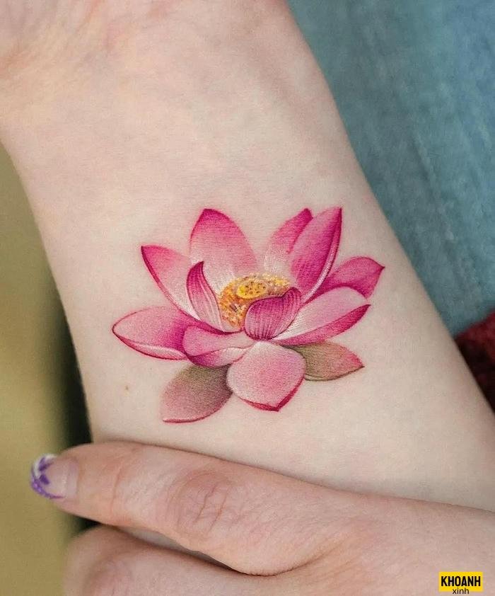 mau xam hoa sen hong 4k