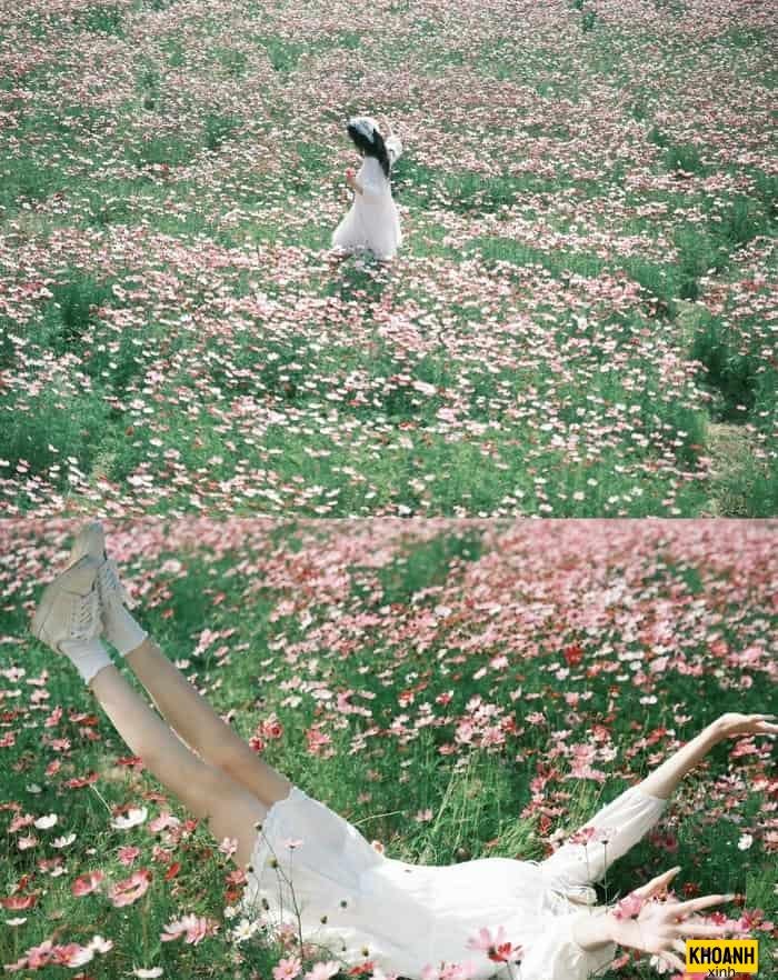 ngàn hoa đua nở nét