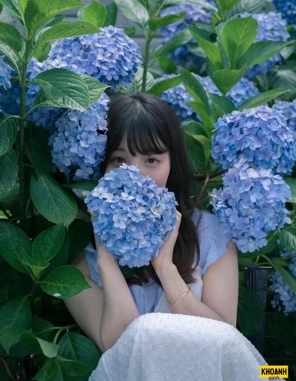 nhanh hoa cam tu cau